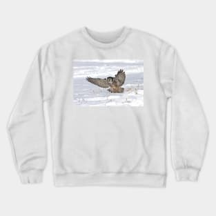 Northern Hawk-Owl Crewneck Sweatshirt